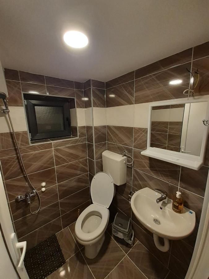Crni Vrh Std Cvetkovic Bed & Breakfast エクステリア 写真