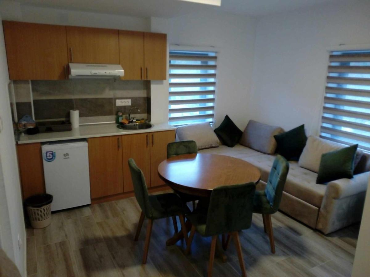 Crni Vrh Std Cvetkovic Bed & Breakfast エクステリア 写真