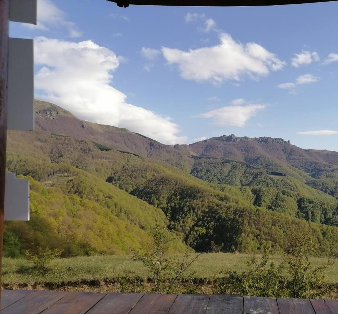 Crni Vrh Std Cvetkovic Bed & Breakfast エクステリア 写真